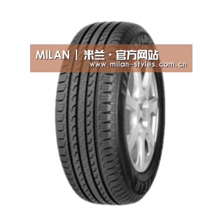 AC米兰官网中文版产品名称五